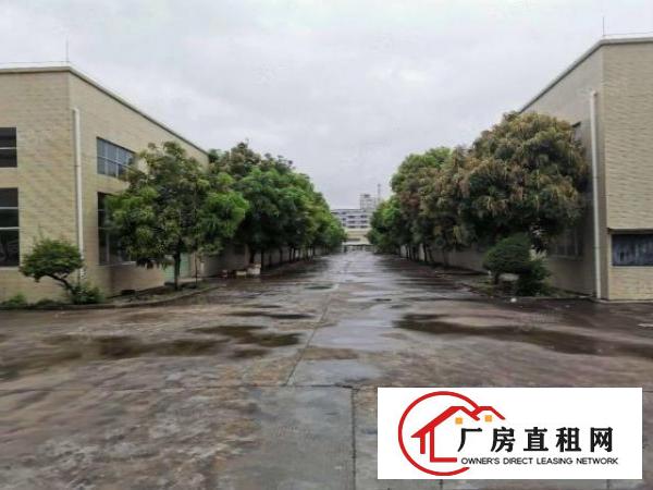  大朗镇重工钢构独院厂房11000平方米9米高形象好