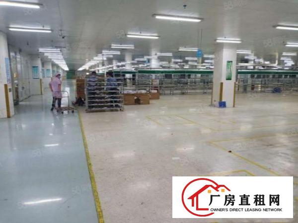  东莞大朗杨乌村新出单层面积1900平方豪华装修厂房出租可分租