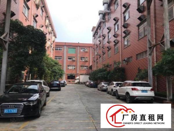  大朗黄草朗标准厂房一楼970平出租，大面积绿化，环境优美