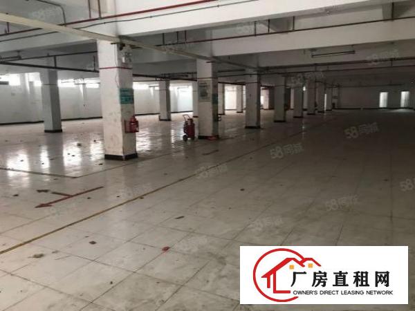  大朗黄草朗标准厂房一楼970平出租，大面积绿化，环境优美