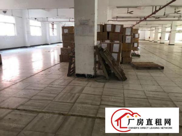  大朗黄草朗标准厂房一楼970平出租，大面积绿化，环境优美
