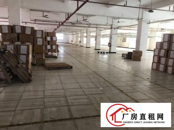  大朗黄草朗标准厂房一楼970平出租，大面积绿化，环境优美