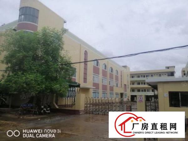  大朗松柏朗工业区新出标准独门独院厂房4280平方