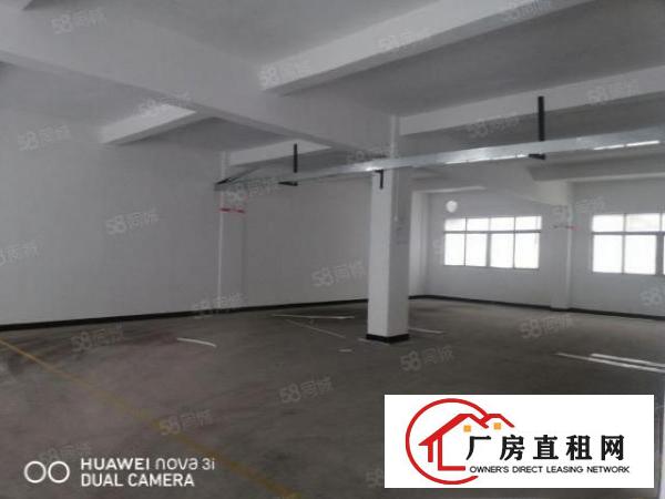  大朗松柏朗工业区新出标准独门独院厂房4280平方