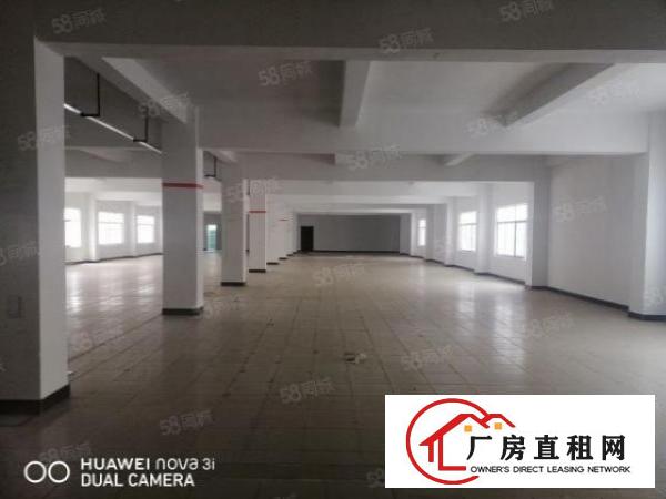  大朗松柏朗工业区新出标准独门独院厂房4280平方