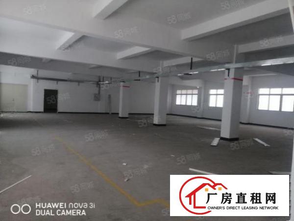  大朗松柏朗工业区新出标准独门独院厂房4280平方