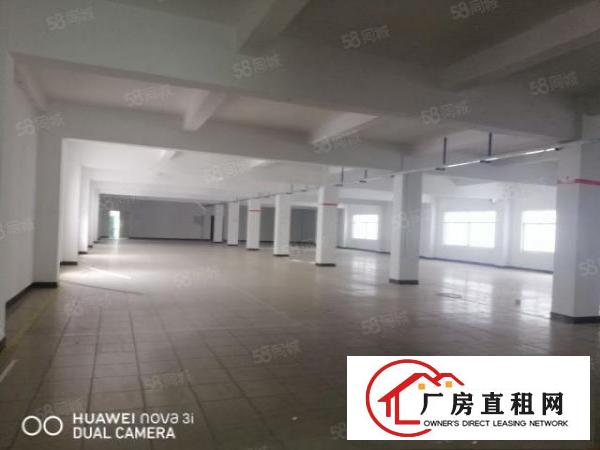  大朗松柏朗工业区新出标准独门独院厂房4280平方
