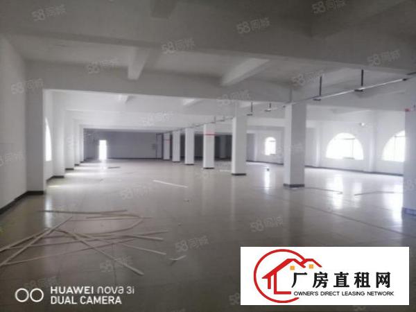  大朗松柏朗工业区新出标准独门独院厂房4280平方