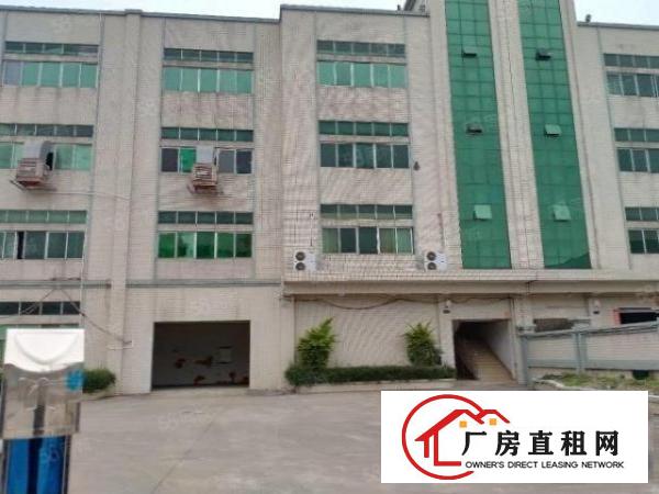  大朗洋乌原房东一楼1000平方厂房出租可办环评