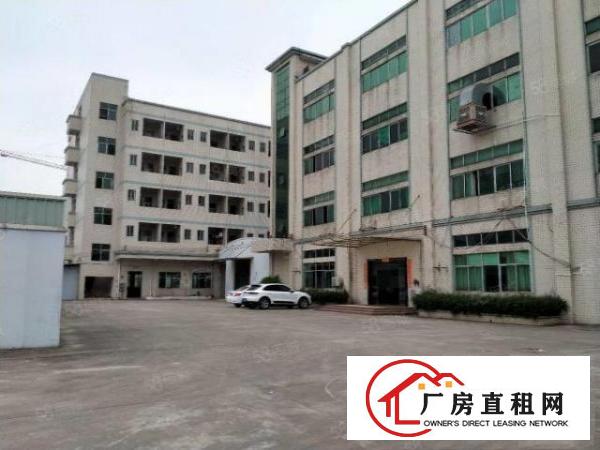  大朗洋乌原房东一楼1000平方厂房出租可办环评