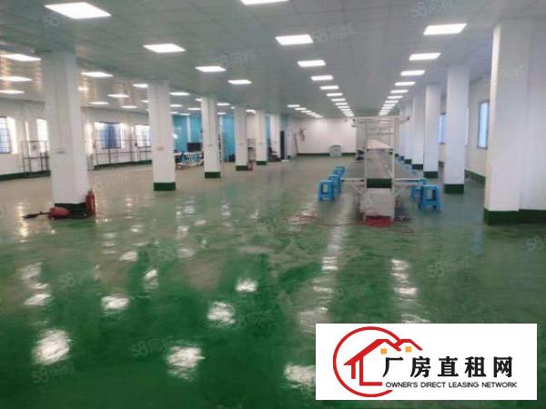  大朗新出原房东总面积约79500平方花园式厂房