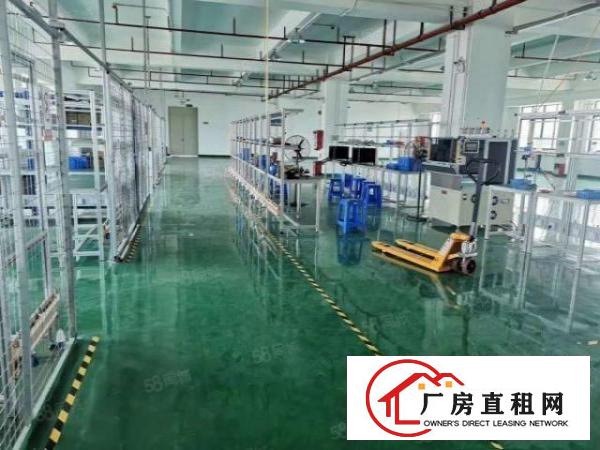  大朗新出原房东总面积约79500平方花园式厂房