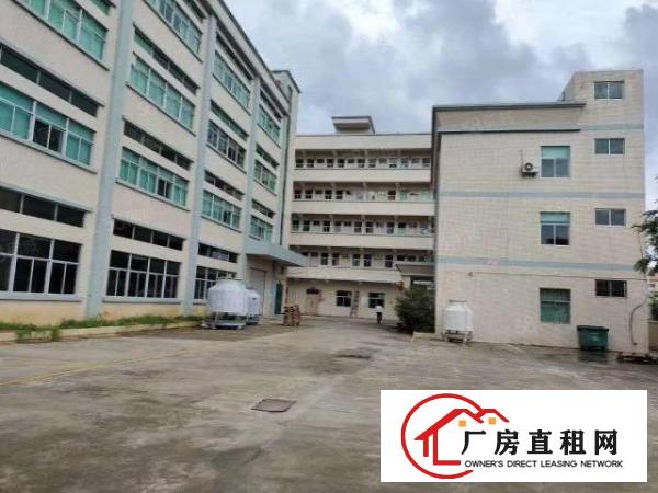  大朗新出原房东总面积约79500平方花园式厂房