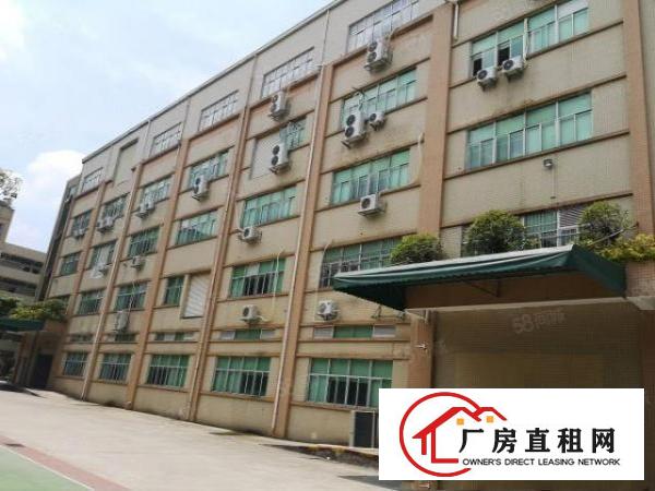  大朗镇汽车站附近标准厂房12000平米水电齐全办公室欢迎来电