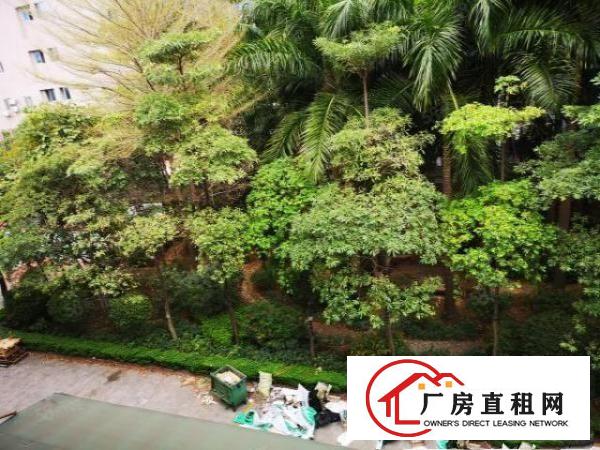  大朗镇汽车站附近标准厂房12000平米水电齐全办公室欢迎来电