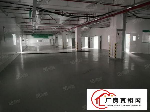  大朗镇汽车站附近标准厂房12000平米水电齐全办公室欢迎来电