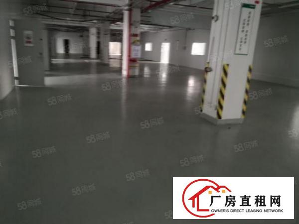  大朗镇汽车站附近标准厂房12000平米水电齐全办公室欢迎来电