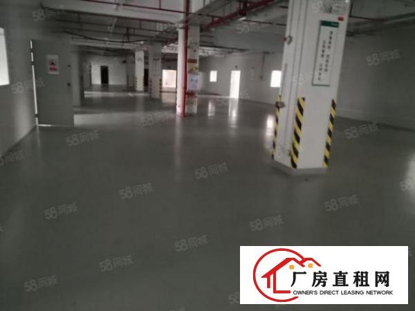  大朗镇汽车站附近标准厂房12000平米水电齐全办公室欢迎来电