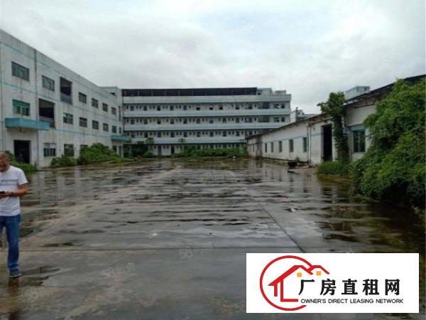  大朗原房东工业一楼2000方，空地大带消防喷淋豪华办公室