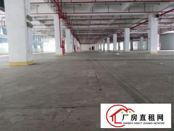  大朗原房东工业一楼2000方，空地大带消防喷淋豪华办公室