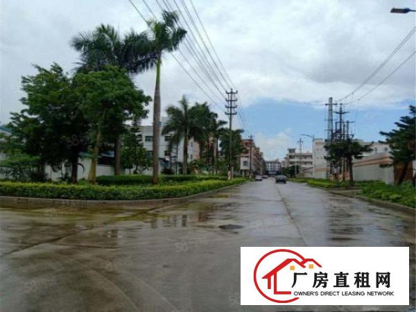  大朗原房东工业一楼2000方，空地大带消防喷淋豪华办公室