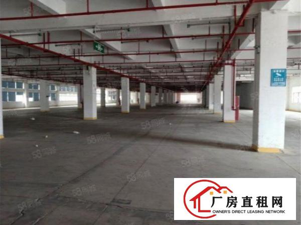  大朗原房东工业一楼2000方，空地大带消防喷淋豪华办公室