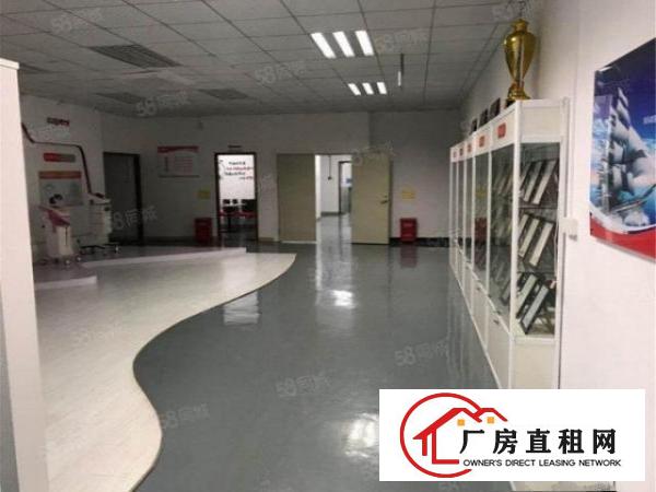  大朗原房东工业一楼2000方，空地大带消防喷淋豪华办公室