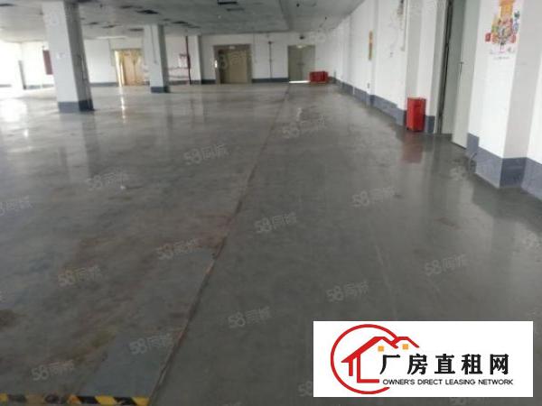  东莞大朗镇新马莲1600平厂房出租