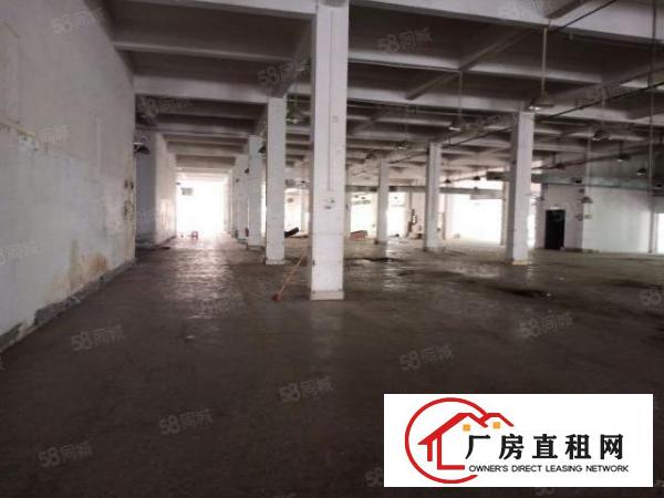  东莞大朗镇新马莲1600平厂房出租