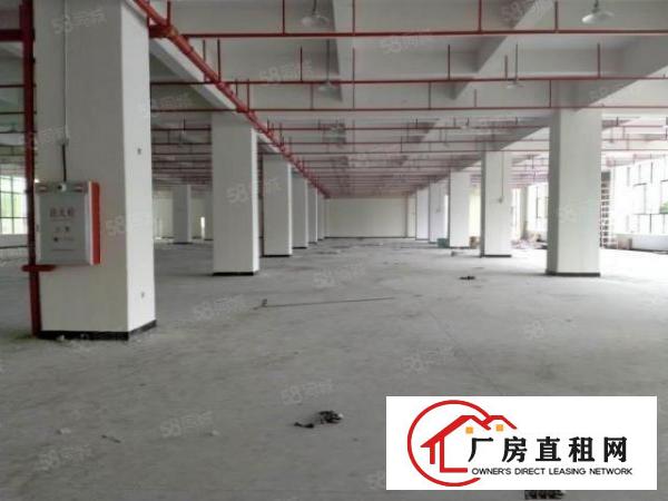  东莞大朗富民工业园原房东二楼1900平方厂房出租可办环评