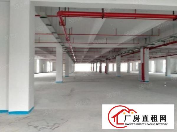  东莞大朗富民工业园原房东二楼1900平方厂房出租可办环评