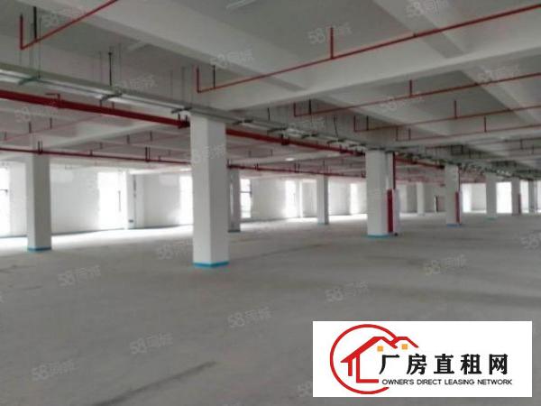  东莞大朗富民工业园原房东二楼1900平方厂房出租可办环评