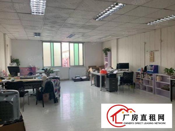  证件齐全大朗原房东1000平方全新钢构厂房11元带环评