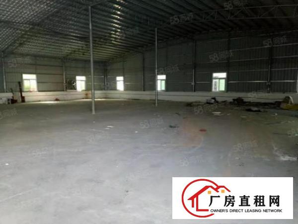  证件齐全大朗原房东1000平方全新钢构厂房11元带环评