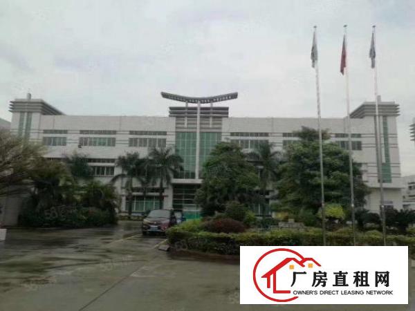 大朗新马莲标准厂房一楼1400，带牛角地坪漆，办公室消防喷淋