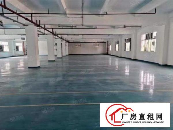  大朗新马莲标准厂房一楼1400，带牛角地坪漆，办公室消防喷淋