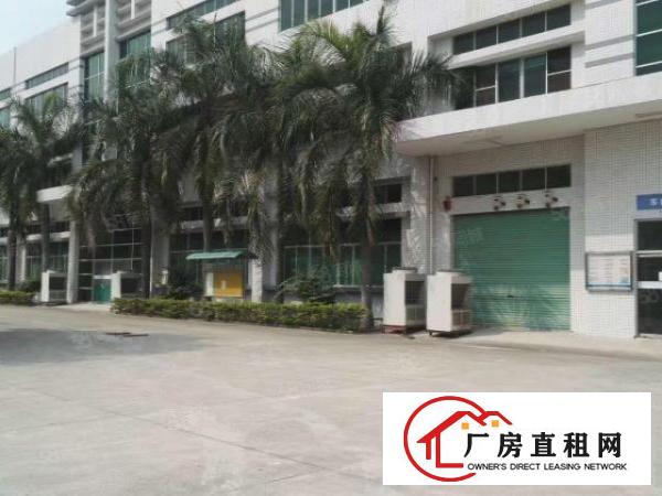  大朗新马莲标准厂房一楼1400，带牛角地坪漆，办公室消防喷淋