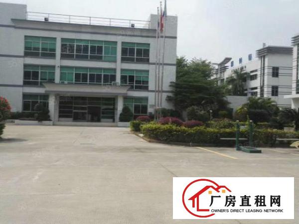  大朗新马莲标准厂房一楼1400，带牛角地坪漆，办公室消防喷淋