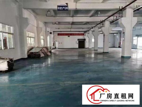  大朗新马莲标准厂房一楼1400，带牛角地坪漆，办公室消防喷淋