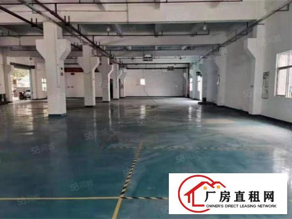  大朗新马莲标准厂房一楼1400，带牛角地坪漆，办公室消防喷淋