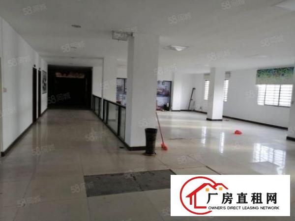  大朗原房东1000平精装修现成贸易厂房