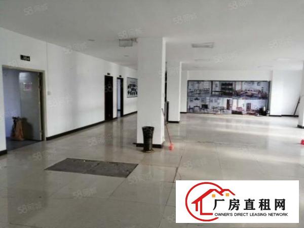  大朗原房东1000平精装修现成贸易厂房