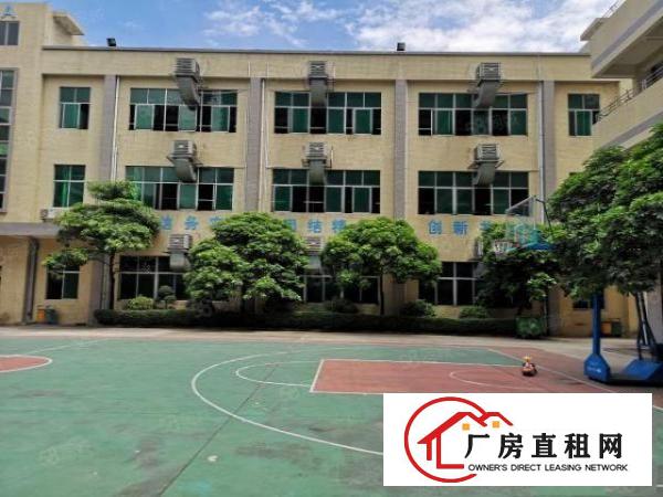  大朗红本厂房分租一楼1200平米水电齐全办公室精装修欢迎来电