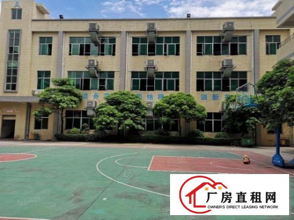  大朗红本厂房分租一楼1200平米水电齐全办公室精装修欢迎来电