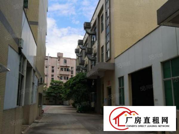  大朗红本厂房分租一楼1200平米水电齐全办公室精装修欢迎来电