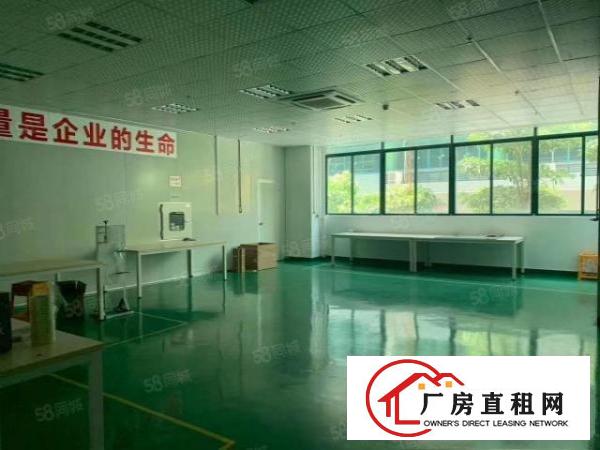  黄草朗980平精装修11块实际面积原房东工业用地