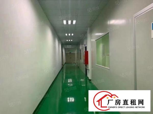  黄草朗980平精装修11块实际面积原房东工业用地