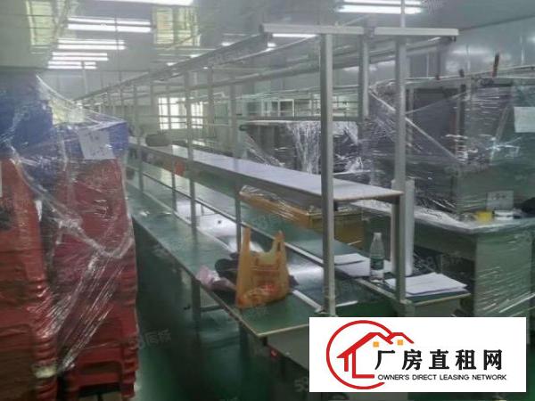  黄草朗980平精装修11块实际面积原房东工业用地