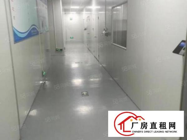 黄草朗980平精装修11块实际面积原房东工业用地