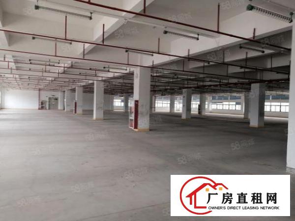  东莞洋乌原房东厂房可办环评3000平分，